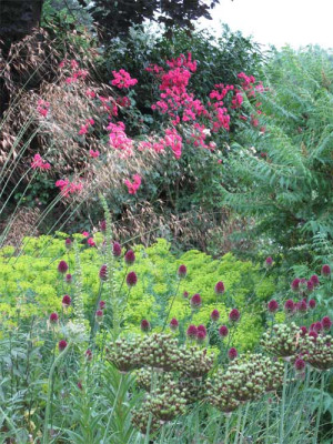 suedbeet_juli_2010.jpg