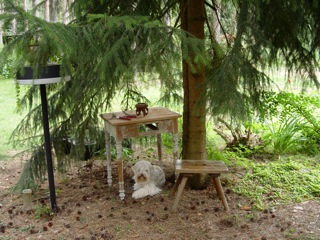 DSC00053.jpg