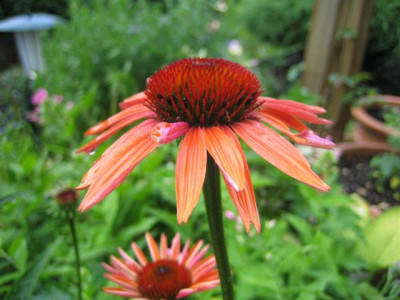 3-7-2010_029_Small.jpg