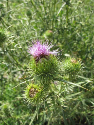 K640_IMG_1589.JPG