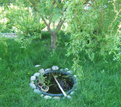 Kubelteich_17.6.2010.JPG
