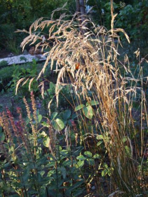 21710_007.jpg