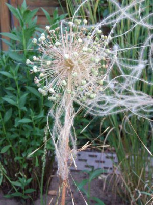 21710_004.jpg