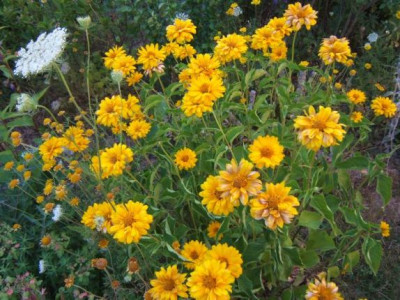 DSCF2079.JPG