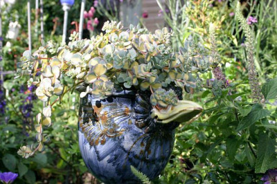 Sedum0307a.jpg