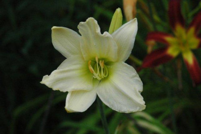 24._07._2010_075.jpg