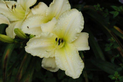 24._07._2010_091.jpg
