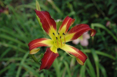 24._07._2010_037.jpg
