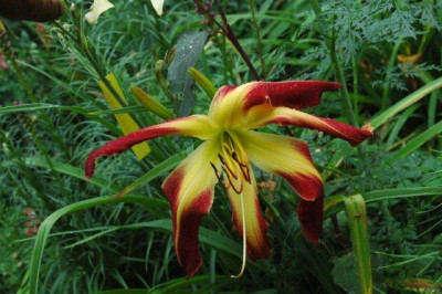 24._07._2010_084.jpg