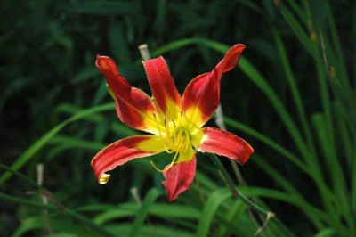 24._07._2010_051.jpg