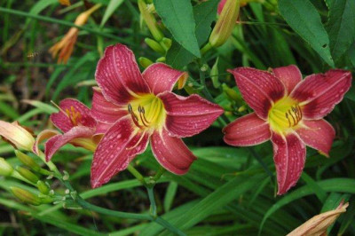 24._07._2010_079.jpg
