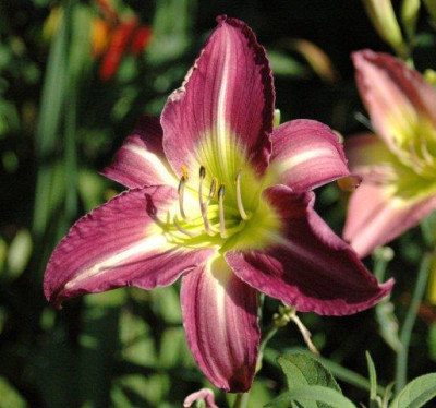 24._07._2010_040.jpg