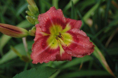24._07._2010_033.jpg