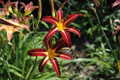 24._07._2010_039.jpg