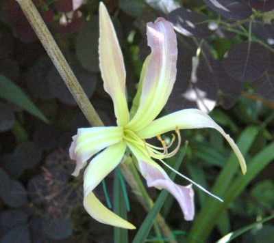24._07._2010_043.jpg