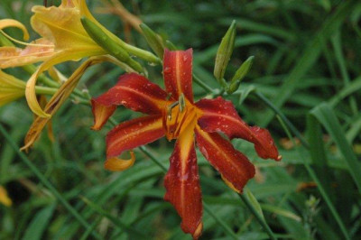 24._07._2010_024.jpg