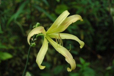 24._07._2010_077.jpg