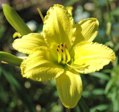 24._07._2010_044.jpg