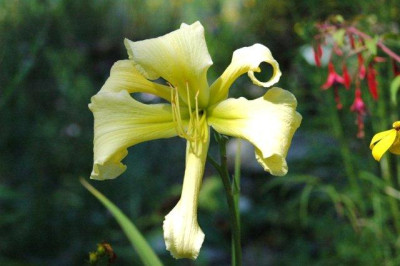 24._07._2010_055.jpg