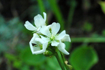 24._07._2010_052.jpg