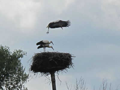 Flieger_ue.jpg
