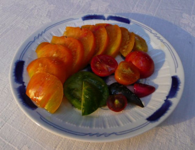 kuche_100725.jpg