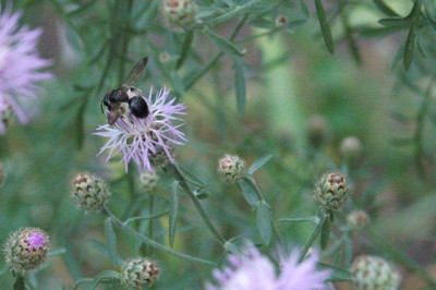 26._07._2010_002.jpg