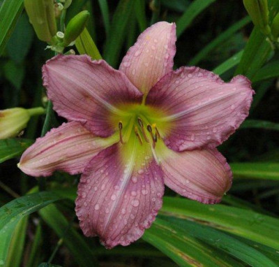 26._07._2010_011.jpg