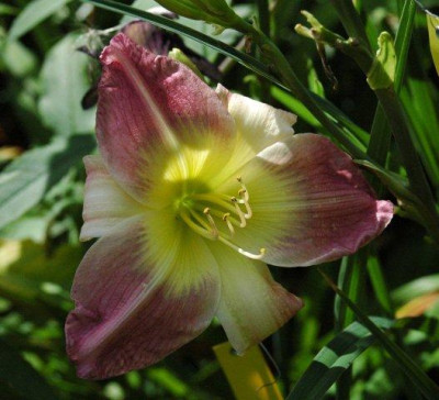 26._07._2010_060.jpg