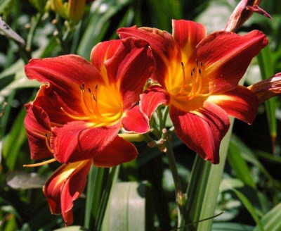 26._07._2010_033.jpg