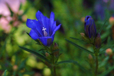 26._07._2010_016.jpg