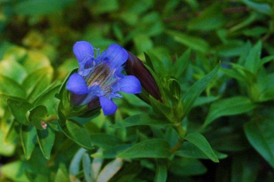 26._07._2010_018.jpg