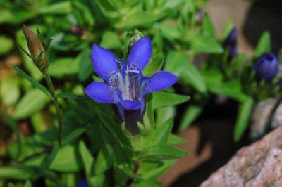 26._07._2010_020.jpg