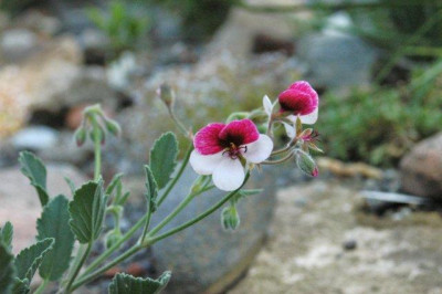 26._07._2010_015.jpg