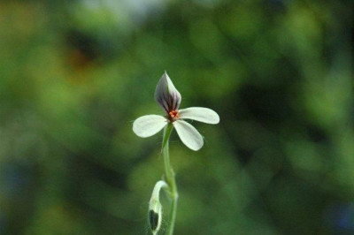 26._07._2010_014.jpg
