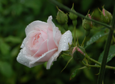 Blanche_Duranthon_0010_76382.jpg