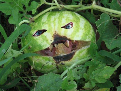wassermelonenmonster.jpg