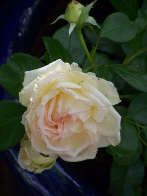 2010_Biedermeier.jpg