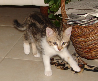 DSC01559-1.jpg