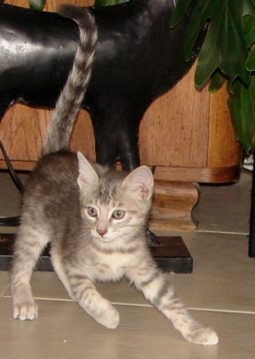 DSC01568.jpg
