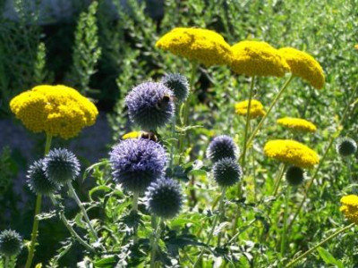 100_0941.JPG