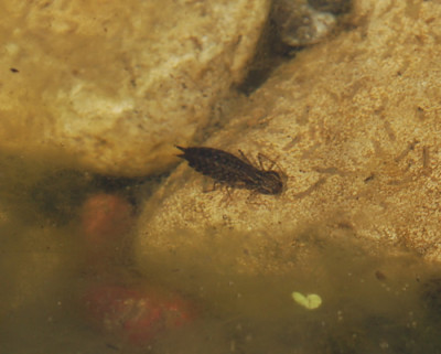 Werbinich_0010__76852.jpg