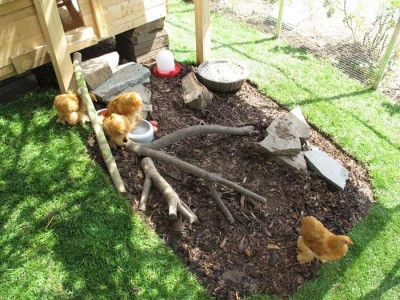 huehner_rolllrasen_mulch.jpg
