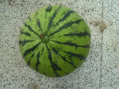 WassermeloneNr.4.jpg