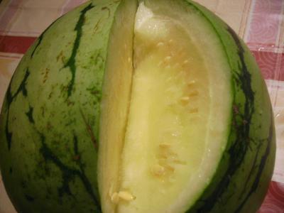 zufruehgeerntet2.jpg