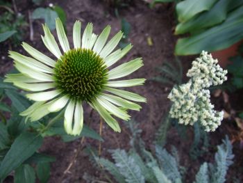 70810_017.jpg