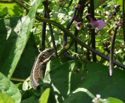 tg_100810_1.jpg