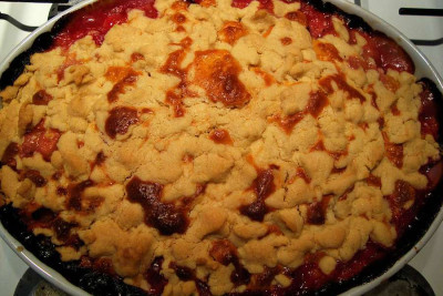 pflaumenkuchen_20100810_zg4.jpg