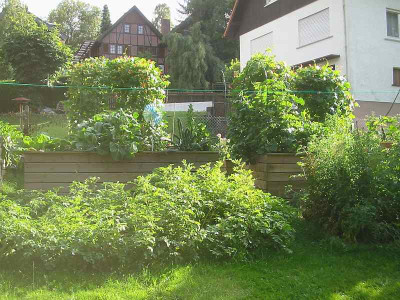 Hochbeet_08.10_4.jpg