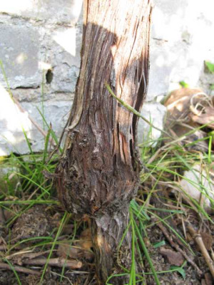 K640_IMG_1619.JPG